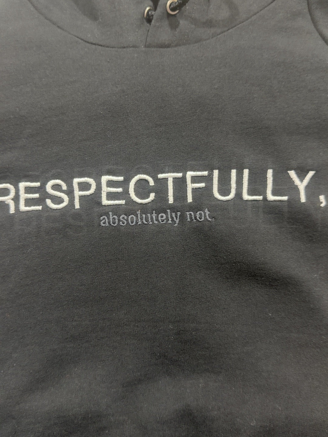 Close-up photograph of original Respectfully absolutely not embroidery