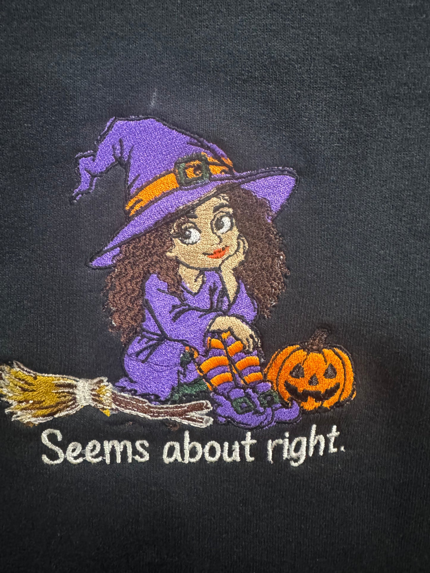 Seems About Right Embroidered Halloween Crewneck